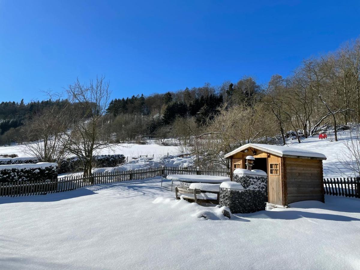 Ferienwohnung Up Willingen-Schwalefeld Willingen  Eksteriør billede