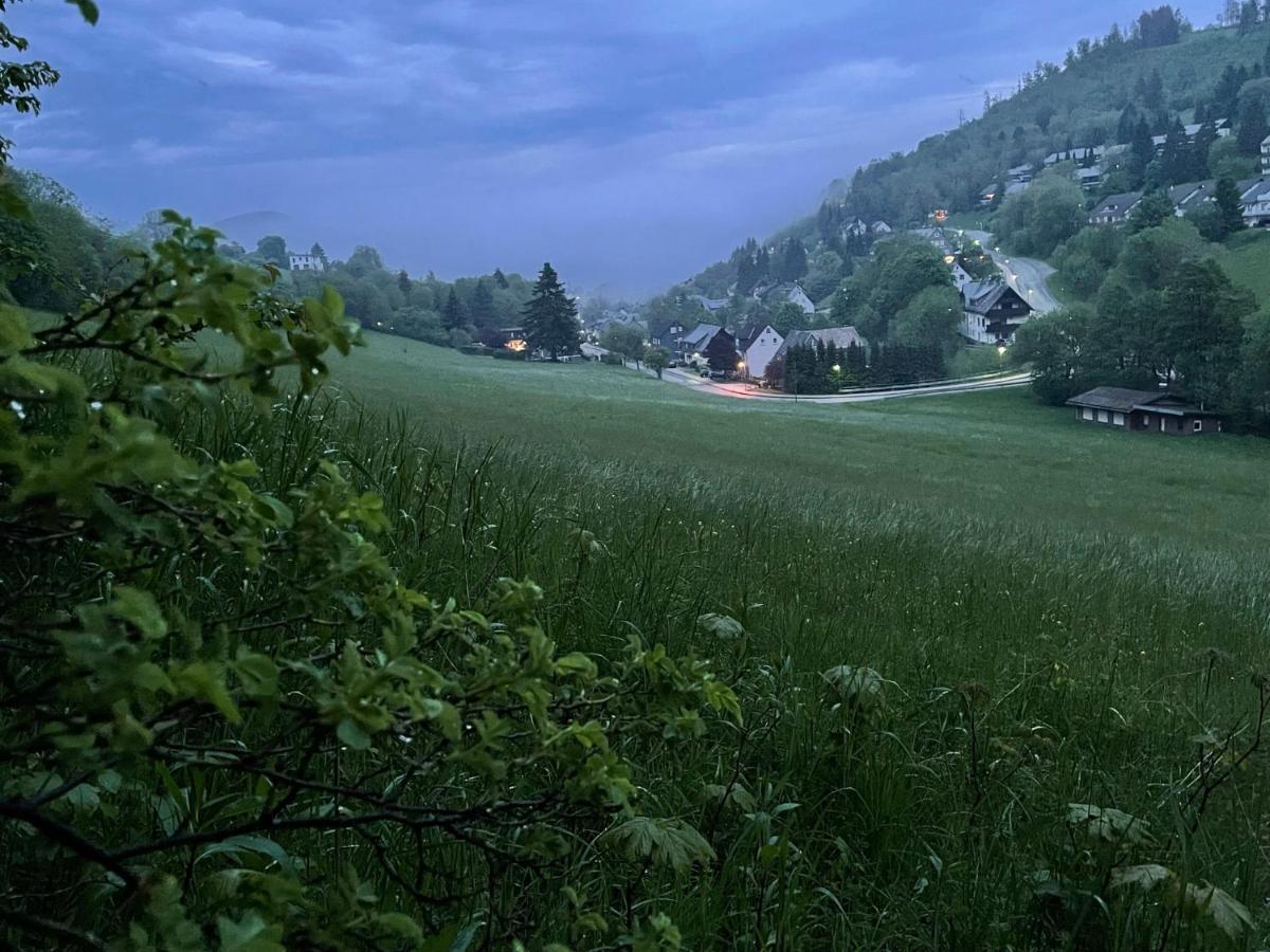 Ferienwohnung Up Willingen-Schwalefeld Willingen  Eksteriør billede