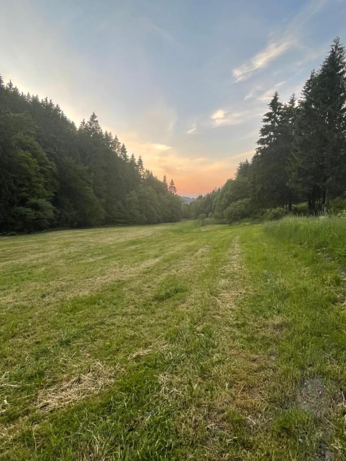 Ferienwohnung Up Willingen-Schwalefeld Willingen  Eksteriør billede