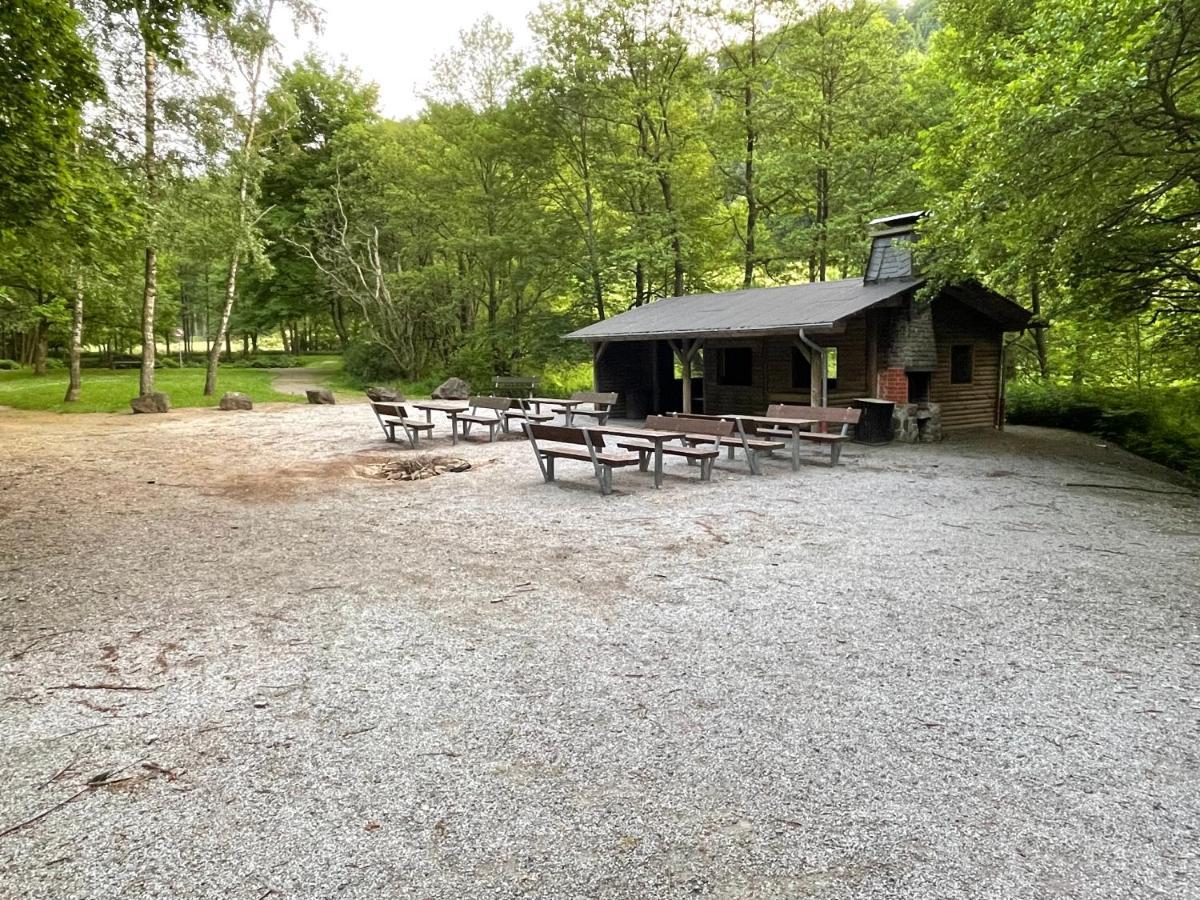 Ferienwohnung Up Willingen-Schwalefeld Willingen  Eksteriør billede