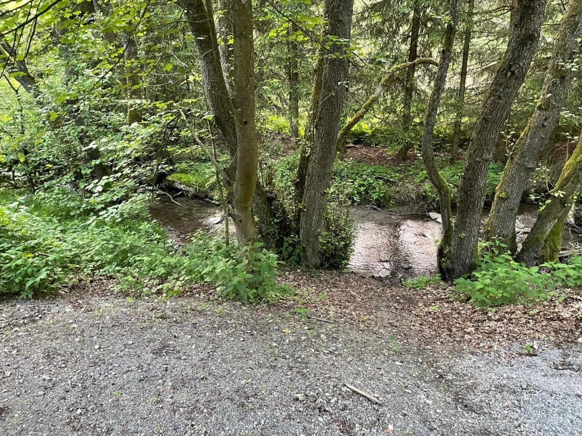 Ferienwohnung Up Willingen-Schwalefeld Willingen  Eksteriør billede