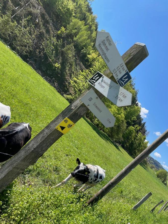 Ferienwohnung Up Willingen-Schwalefeld Willingen  Eksteriør billede