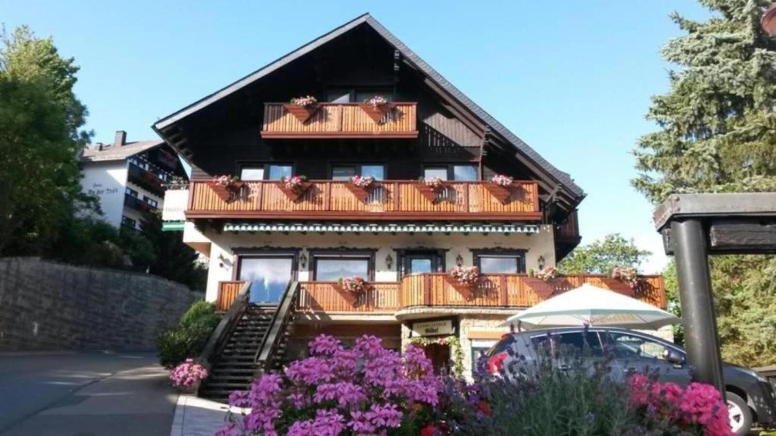 Ferienwohnung Up Willingen-Schwalefeld Willingen  Eksteriør billede