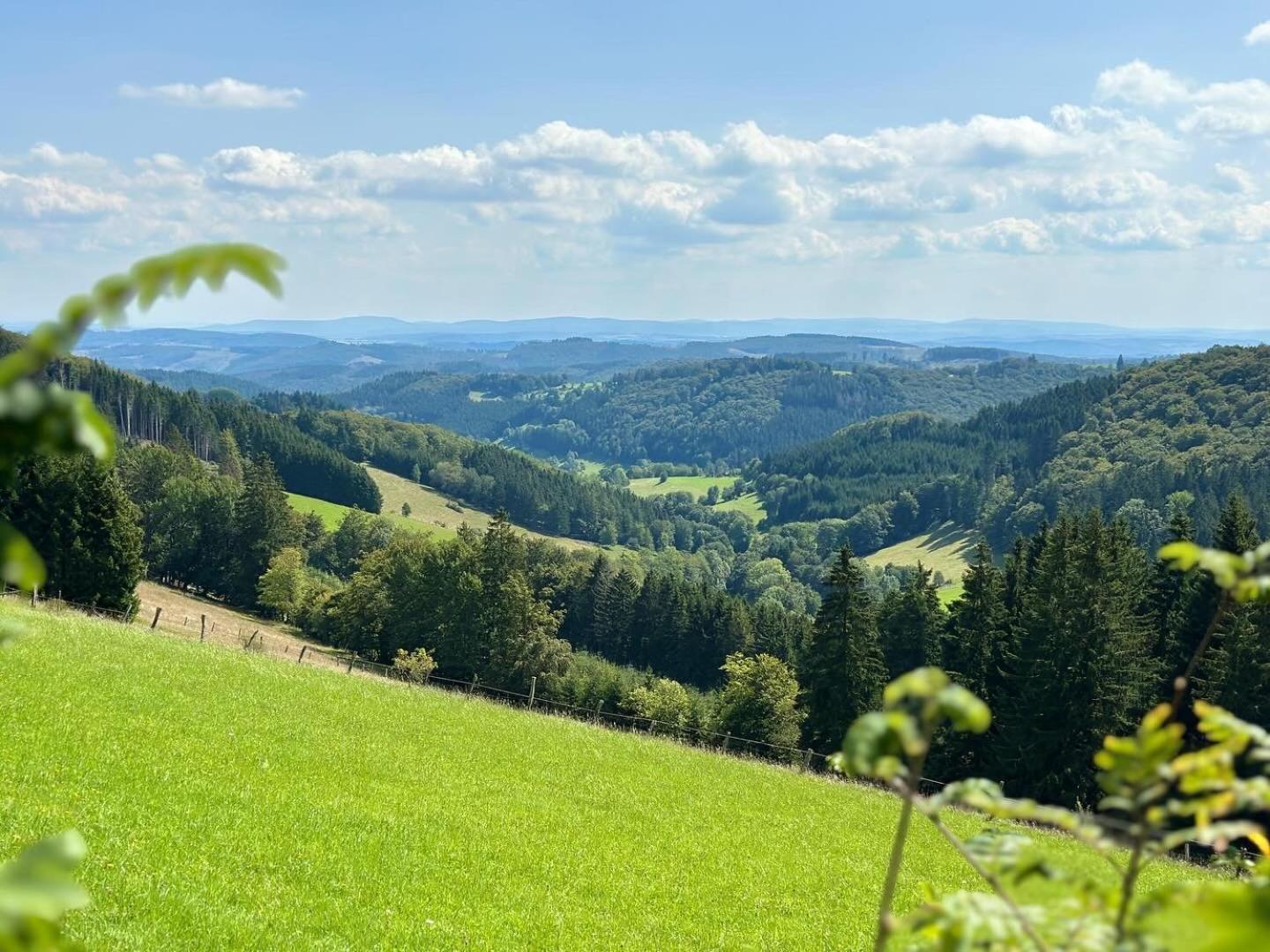 Ferienwohnung Up Willingen-Schwalefeld Willingen  Eksteriør billede